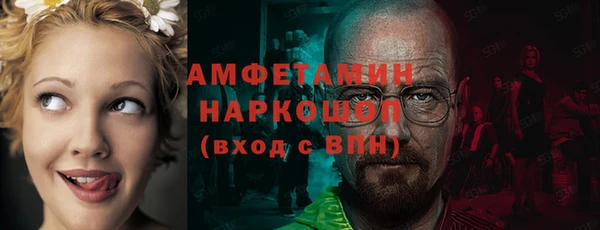 стаф Абинск