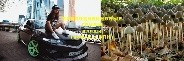 mix Абаза