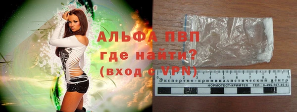 стаф Абинск